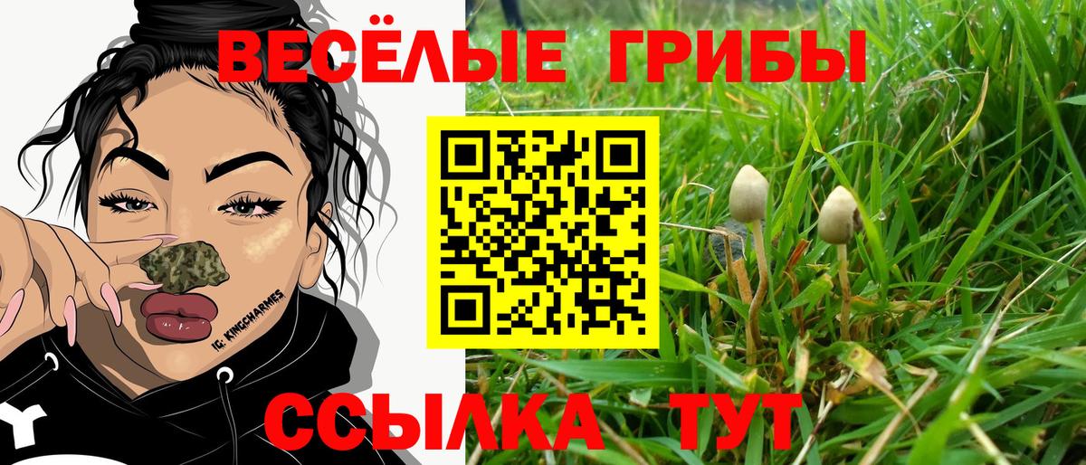 Галлюциногенные грибы Psilocybe  Вход с VPN  Галлюциногенные грибы ЛСД  Красноперекопск 